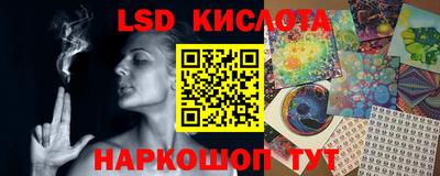СК Севастополь