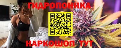 СК Севастополь